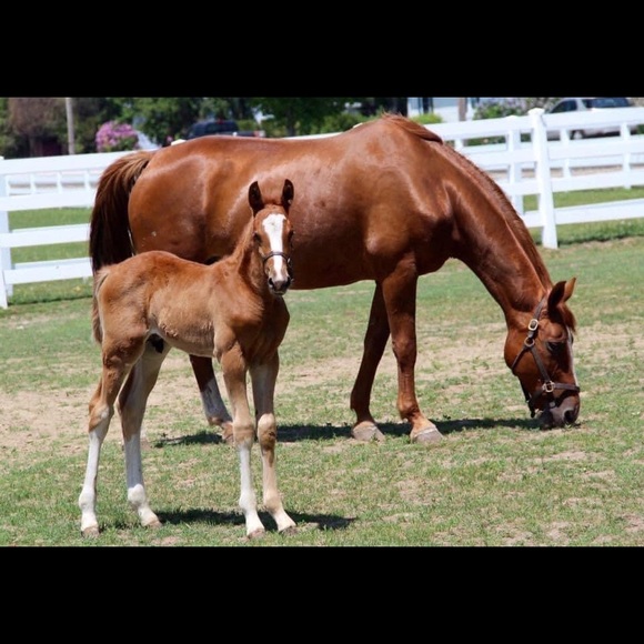 Meet your Posher, Gail - Picture 13 of 14